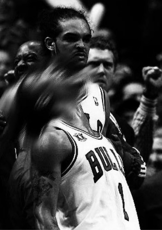 Derrick Rose "Rise to Greatness" Poster